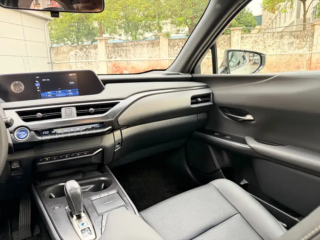 Lexus UX New Energy — фото 8
