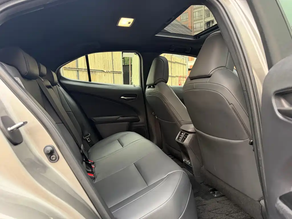 Lexus UX New Energy — фото 9