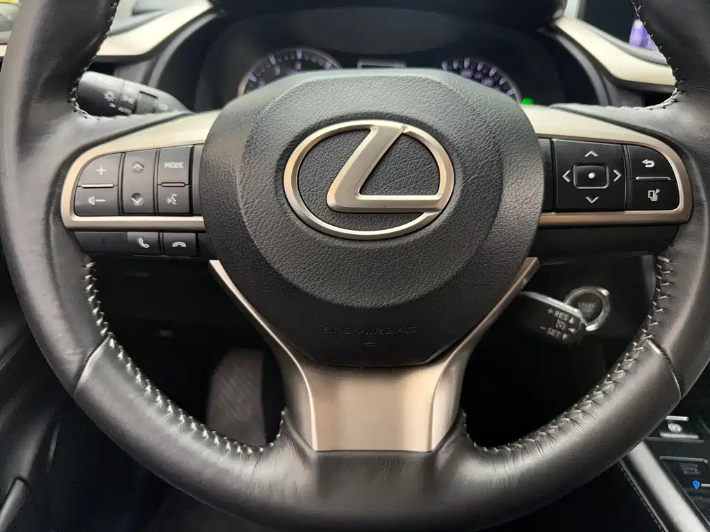 Lexus RX — фото 13