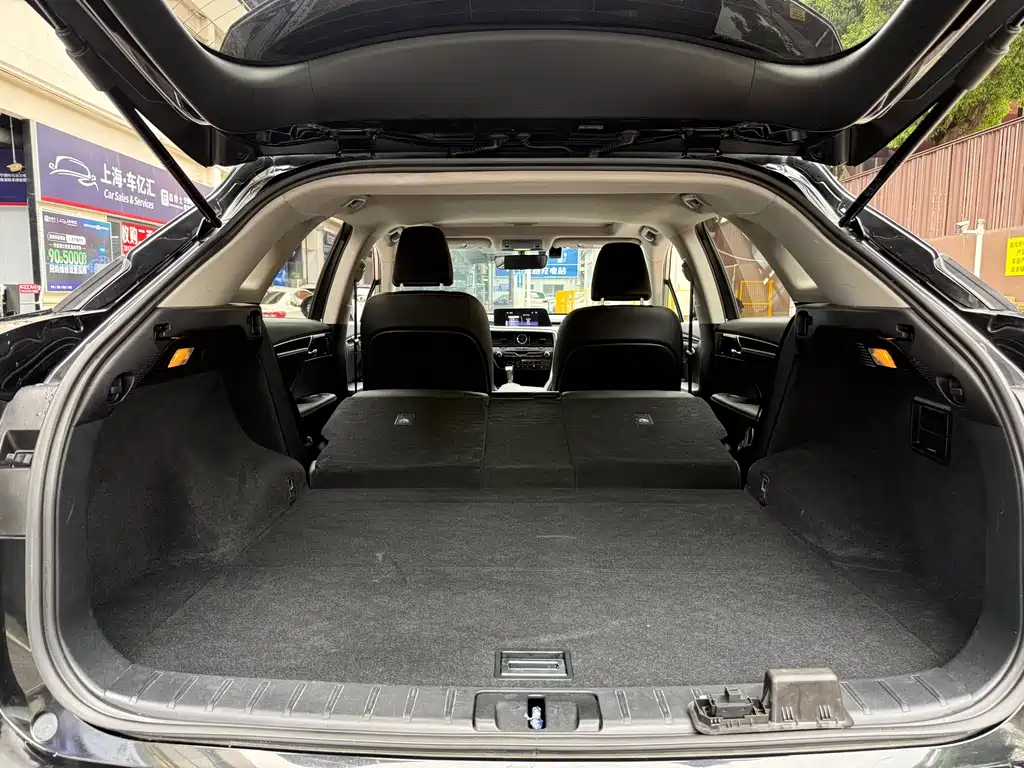Lexus RX — фото 17