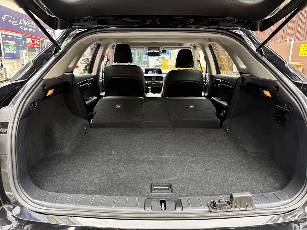 Lexus RX — фото 18