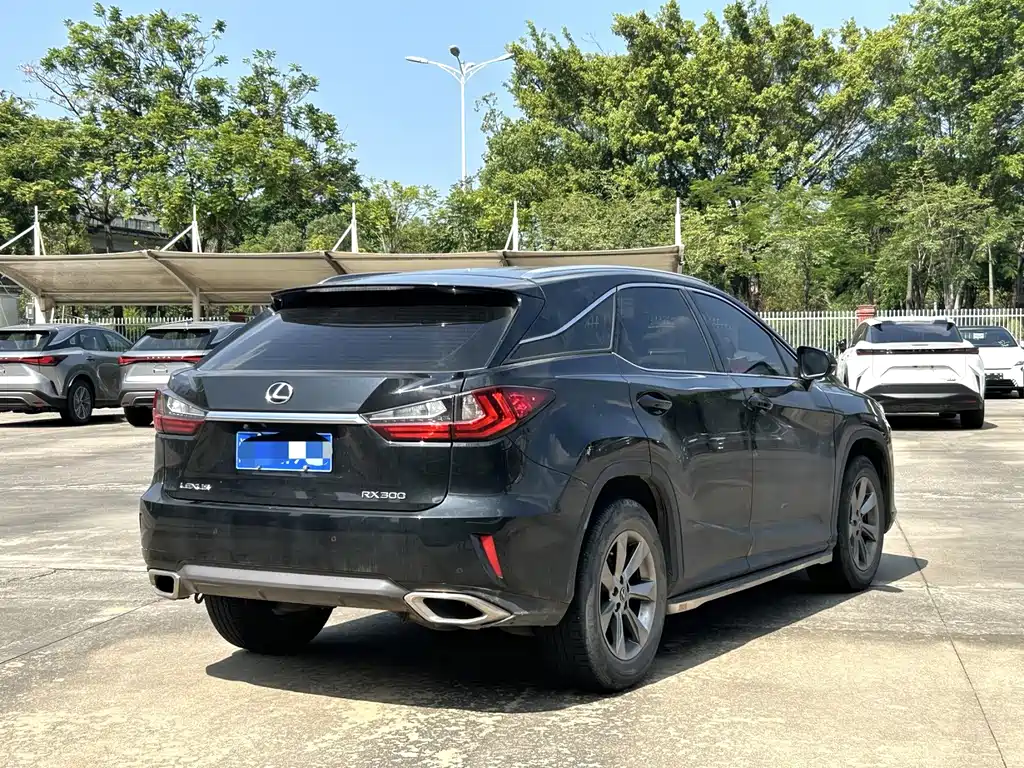 Lexus RX — фото 5