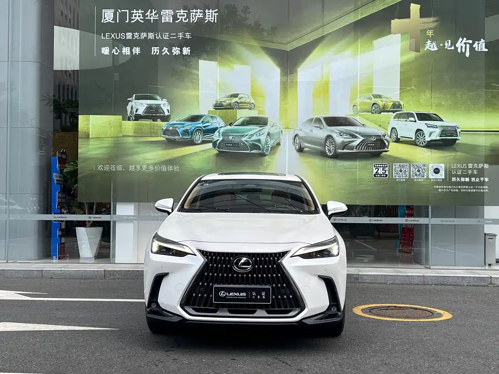 Lexus NX New Energy — фото 2