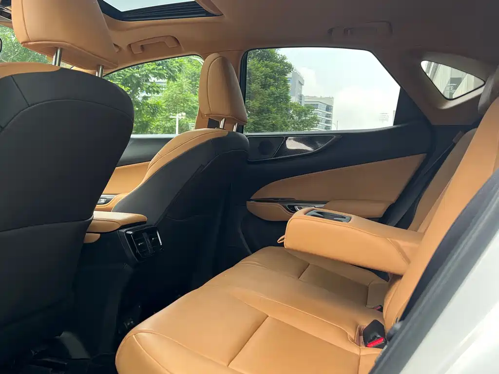 Lexus NX New Energy — фото 13