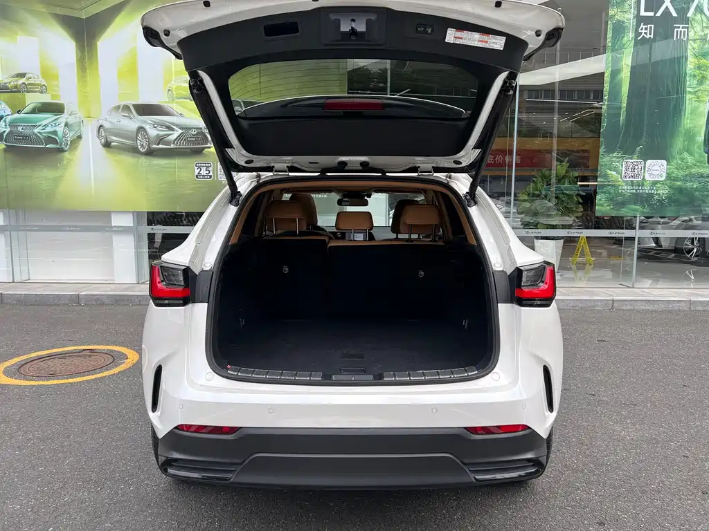 Lexus NX New Energy — фото 14