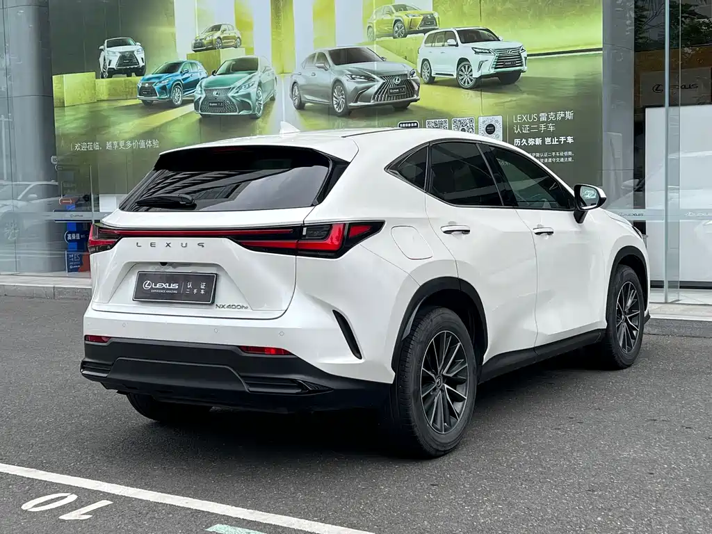Lexus NX New Energy — фото 15