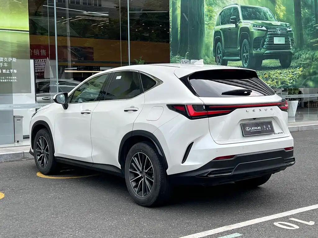 Lexus NX New Energy — фото 17