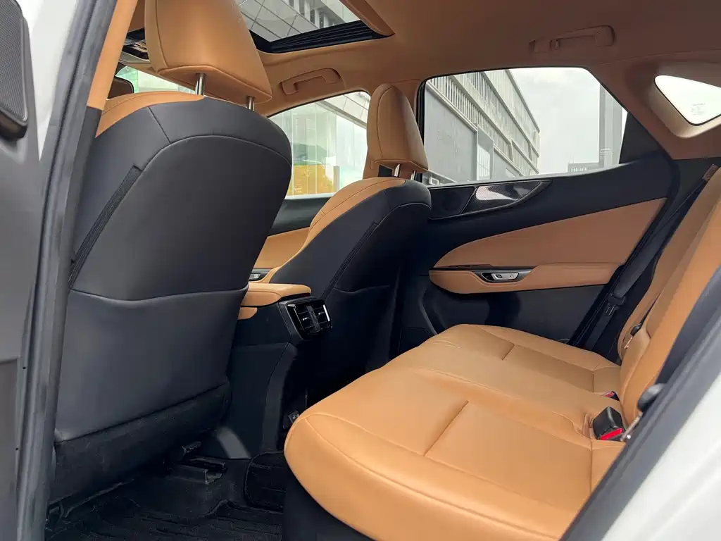 Lexus NX New Energy — фото 6