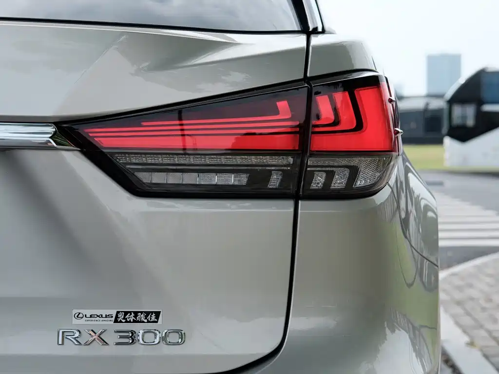 Lexus RX — фото 17