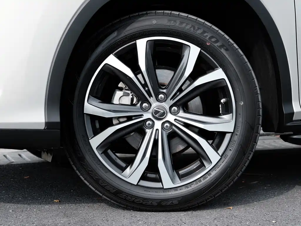 Lexus RX — фото 19