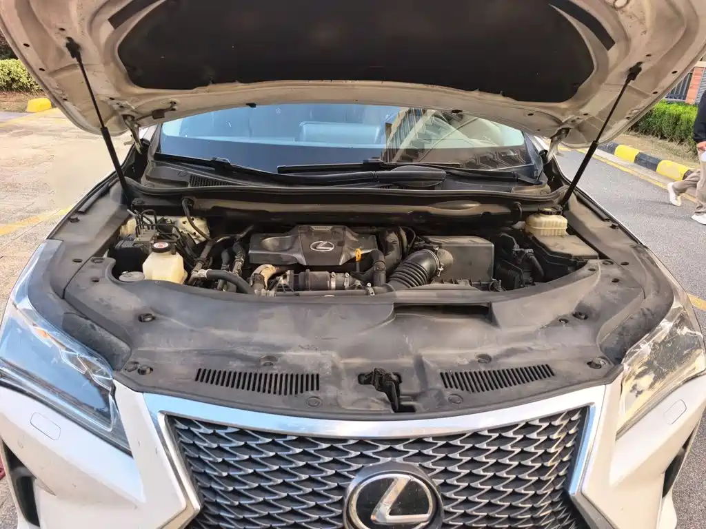Lexus RX — фото 11