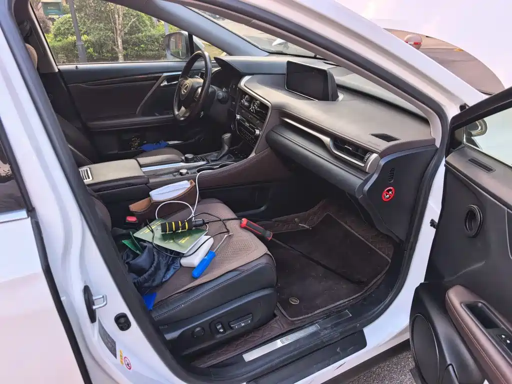 Lexus RX — фото 18