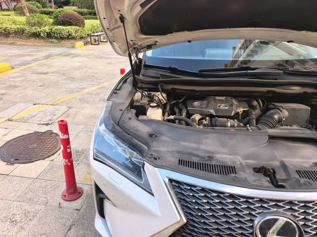 Lexus RX — фото 19