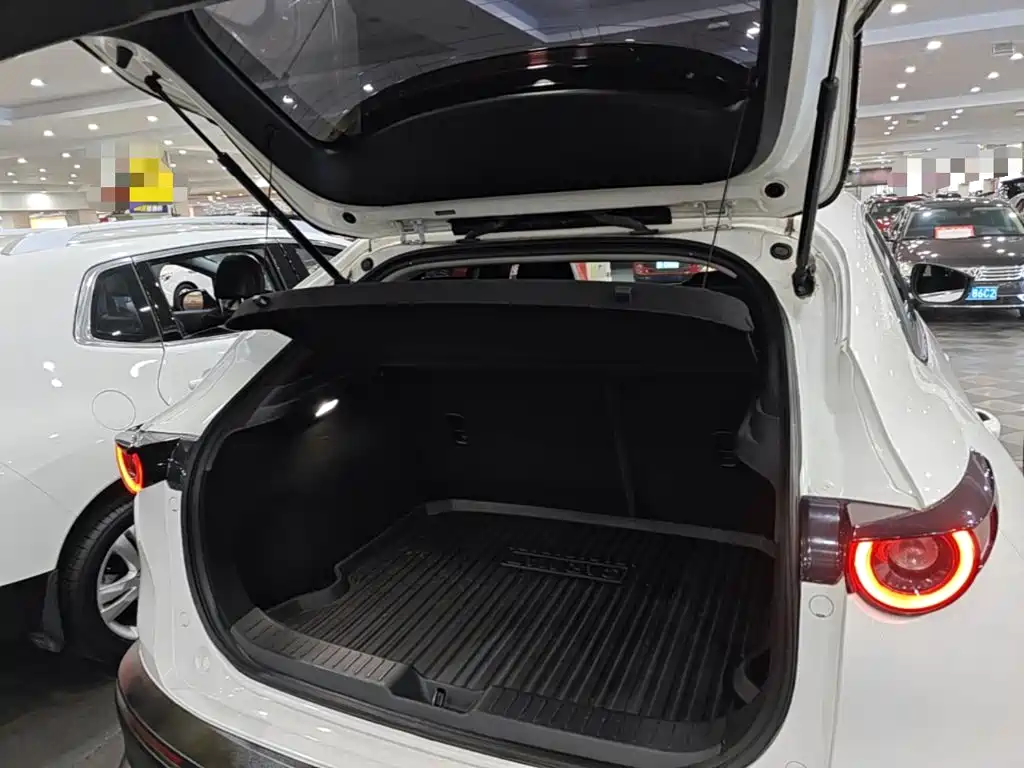 Mazda CX-30 EV — фото 19