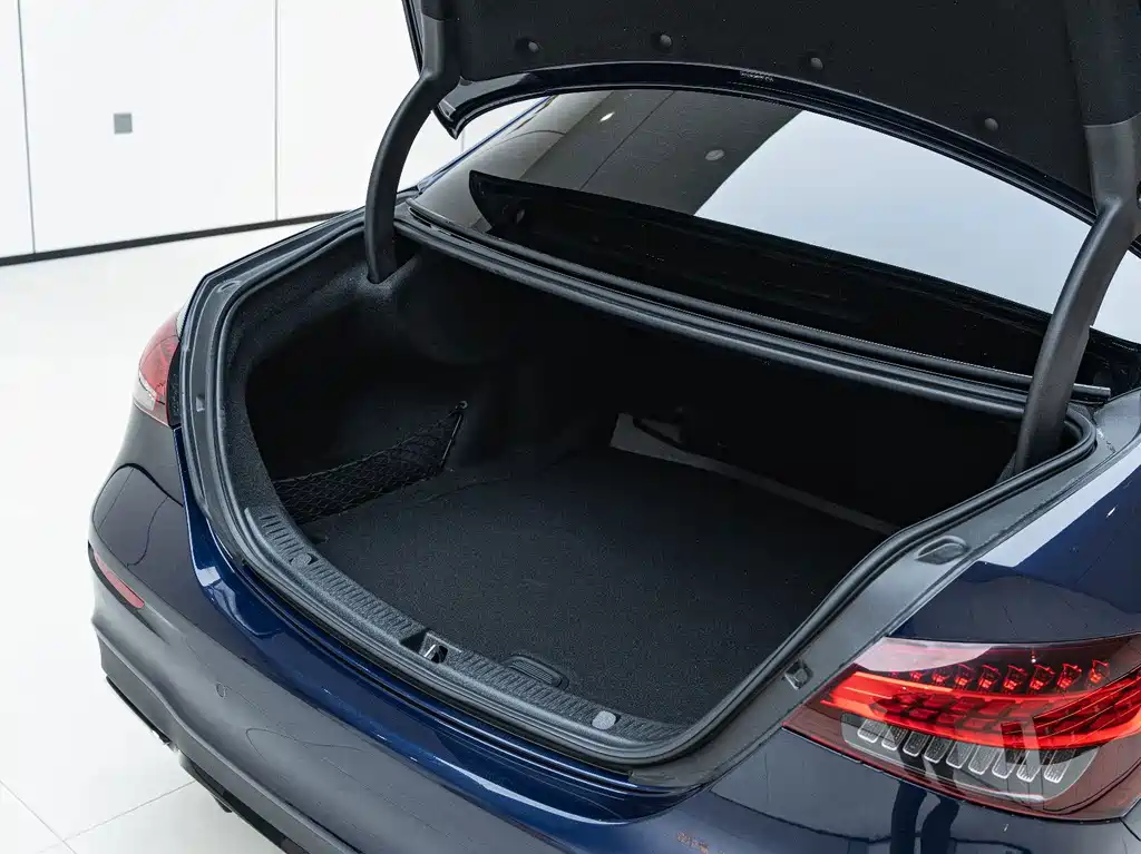 Mercedes-Benz E-Class (Import) — фото 11