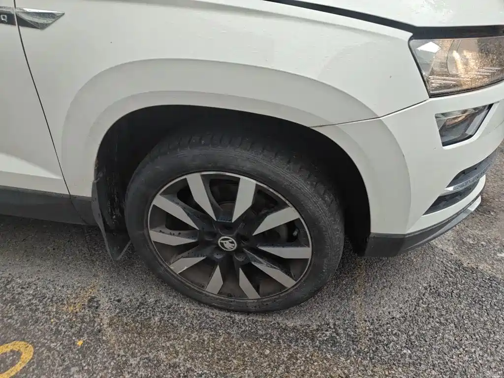 Skoda Karoq — фото 8