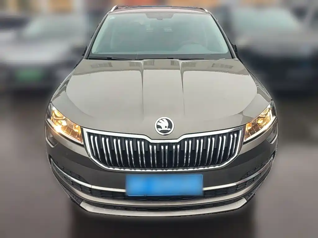 Skoda Karoq — фото 23