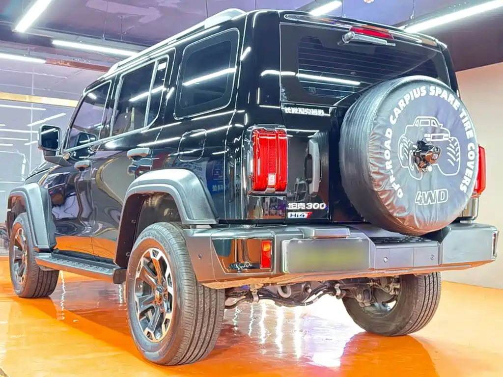 Tank Tank 300 New Energy — фото 10