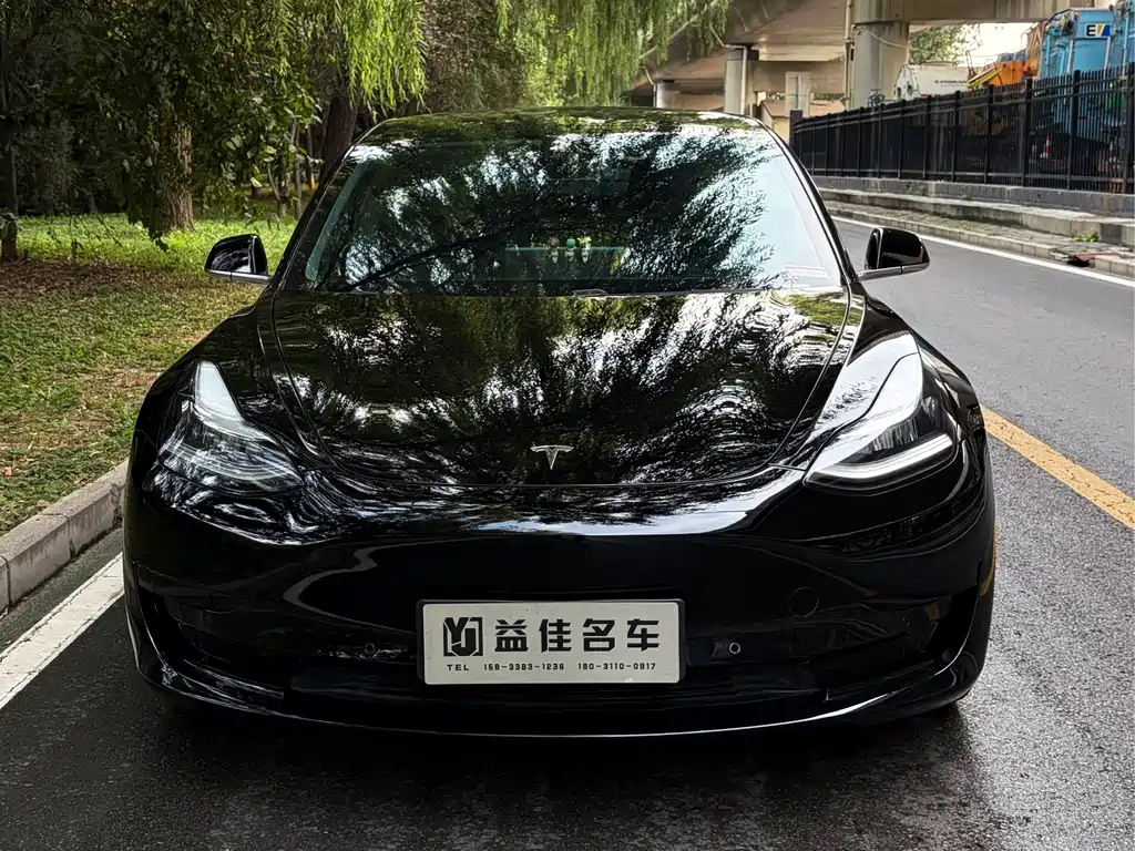 Tesla Model 3 — фото 2