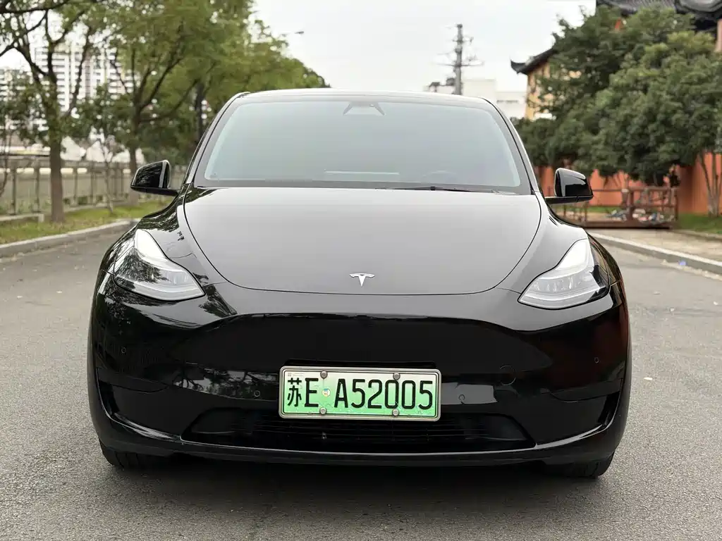 Tesla Model Y — фото 2