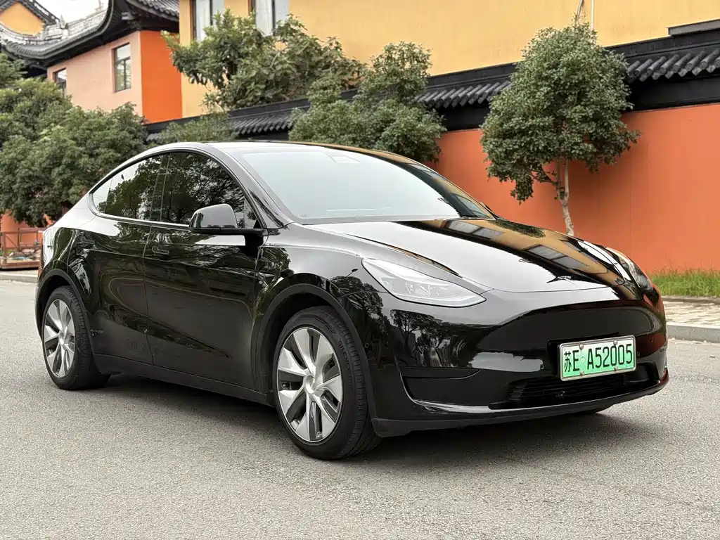 Tesla Model Y — фото 3