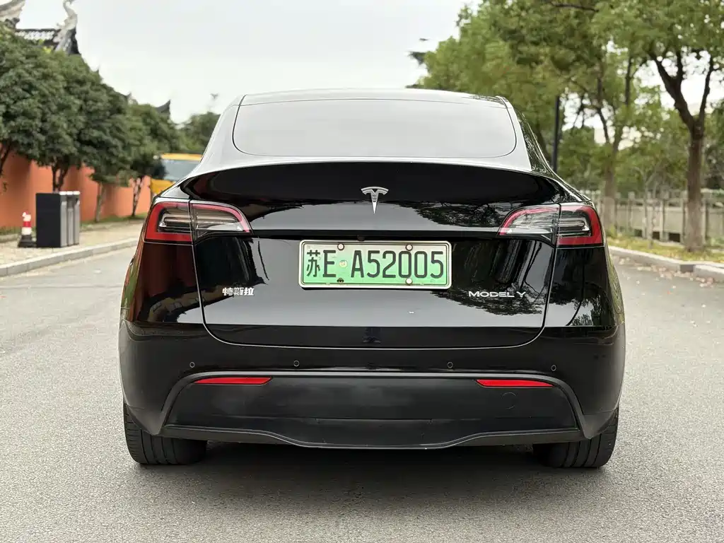 Tesla Model Y — фото 8