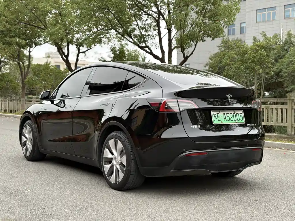 Tesla Model Y — фото 9