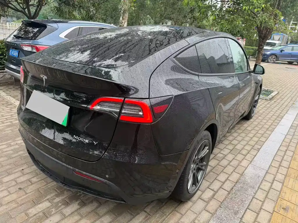 Tesla Model Y — фото 2