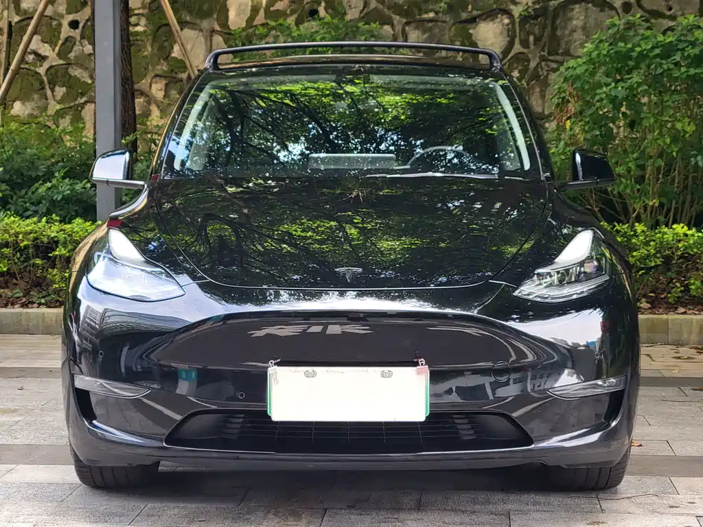 Tesla Model Y — фото 2