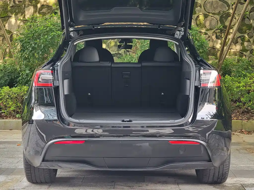 Tesla Model Y — фото 18