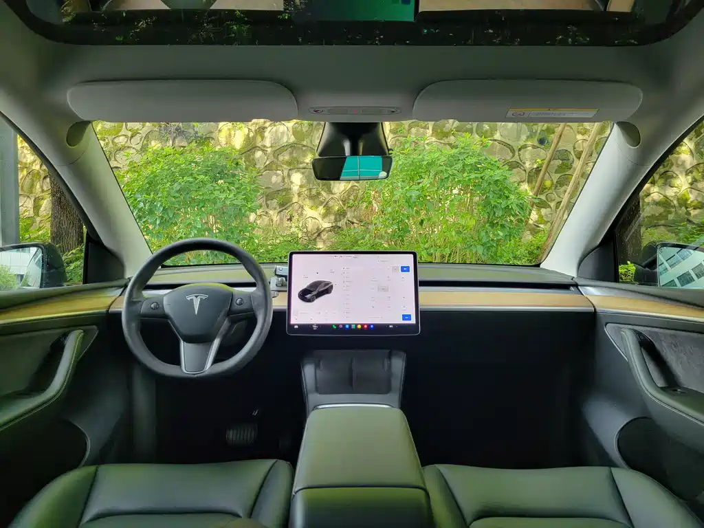 Tesla Model Y — фото 20