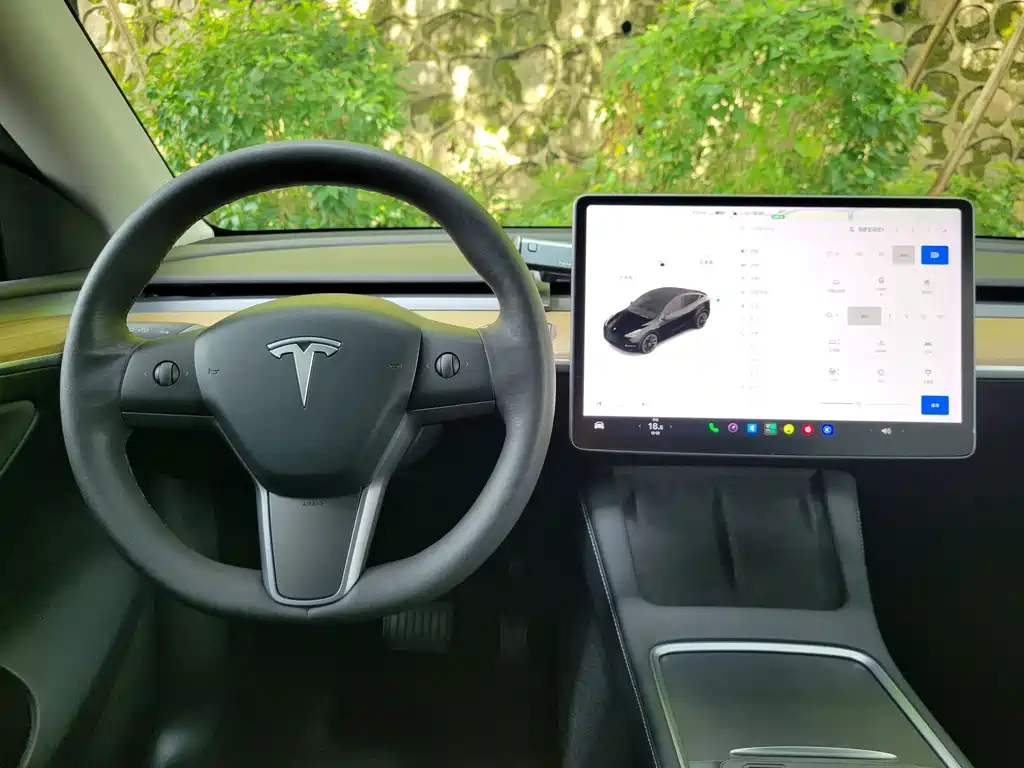 Tesla Model Y — фото 21