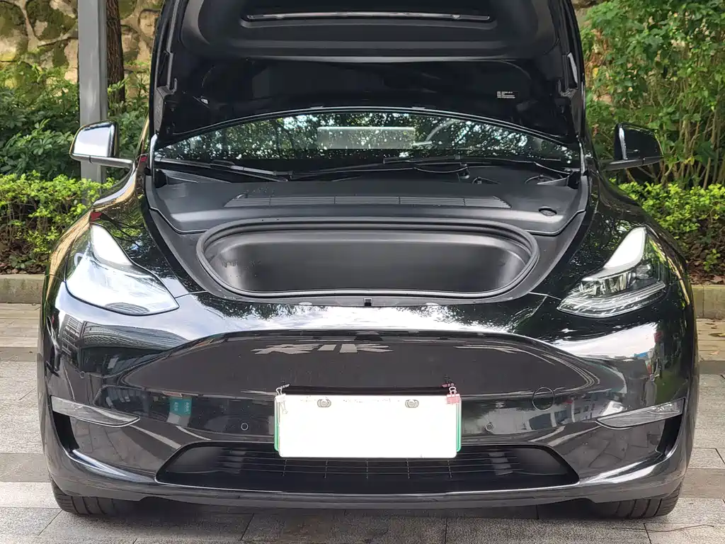Tesla Model Y — фото 5