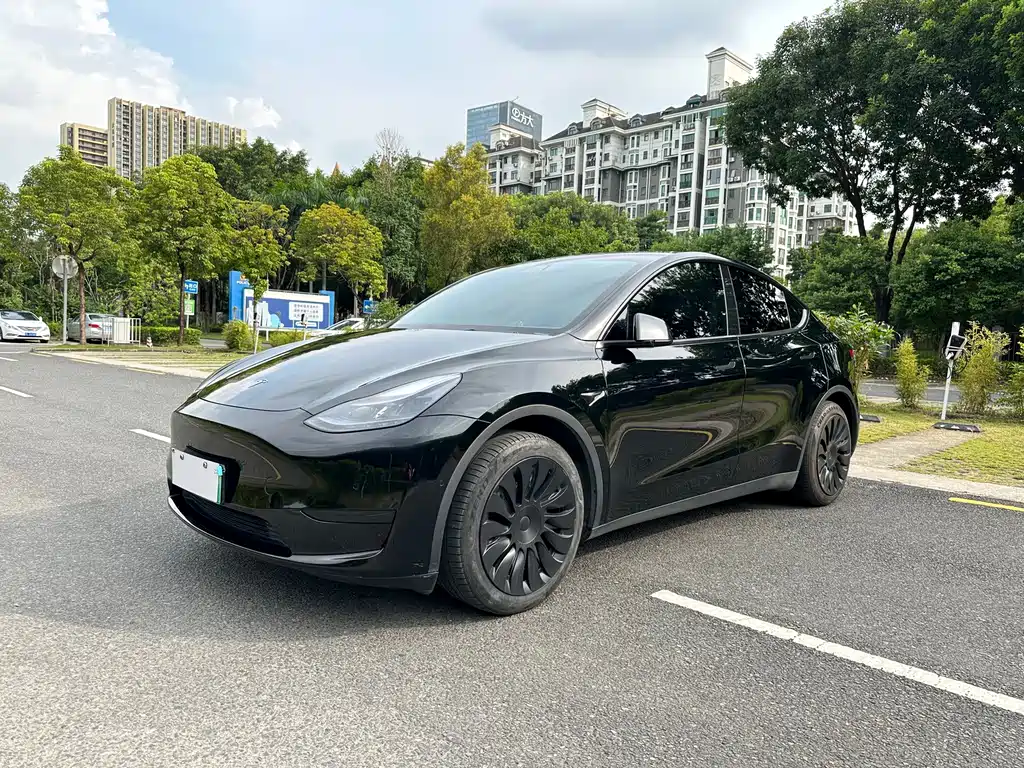 Tesla Model Y — фото 2