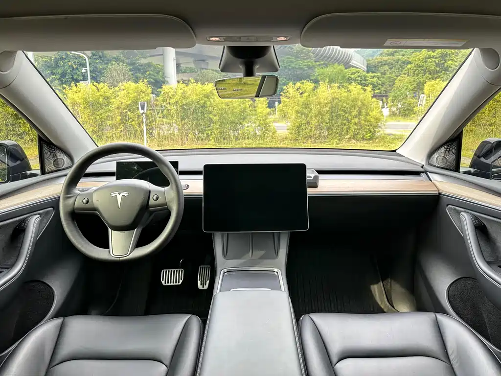 Tesla Model Y — фото 13
