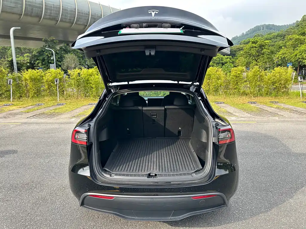 Tesla Model Y — фото 18