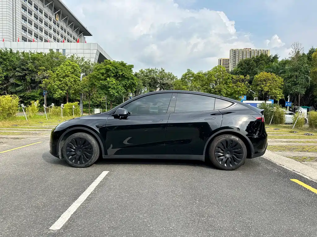 Tesla Model Y — фото 3