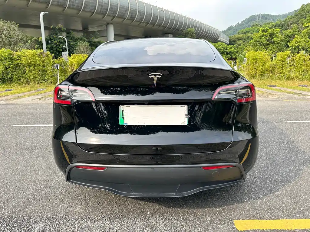 Tesla Model Y — фото 5