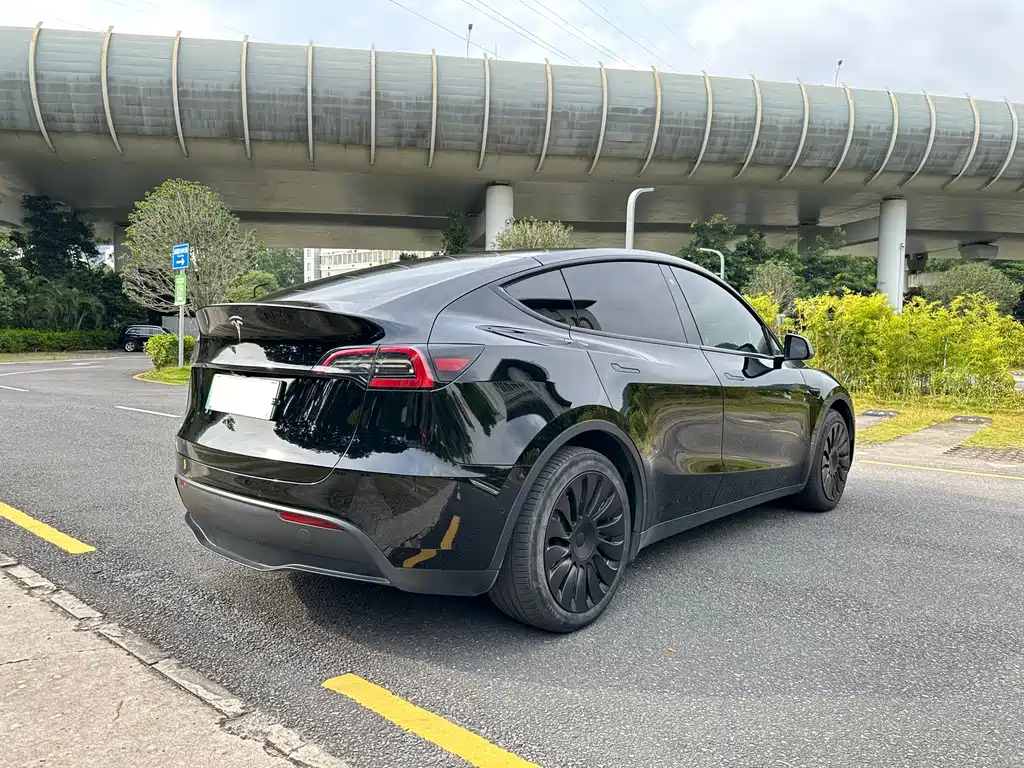 Tesla Model Y — фото 6