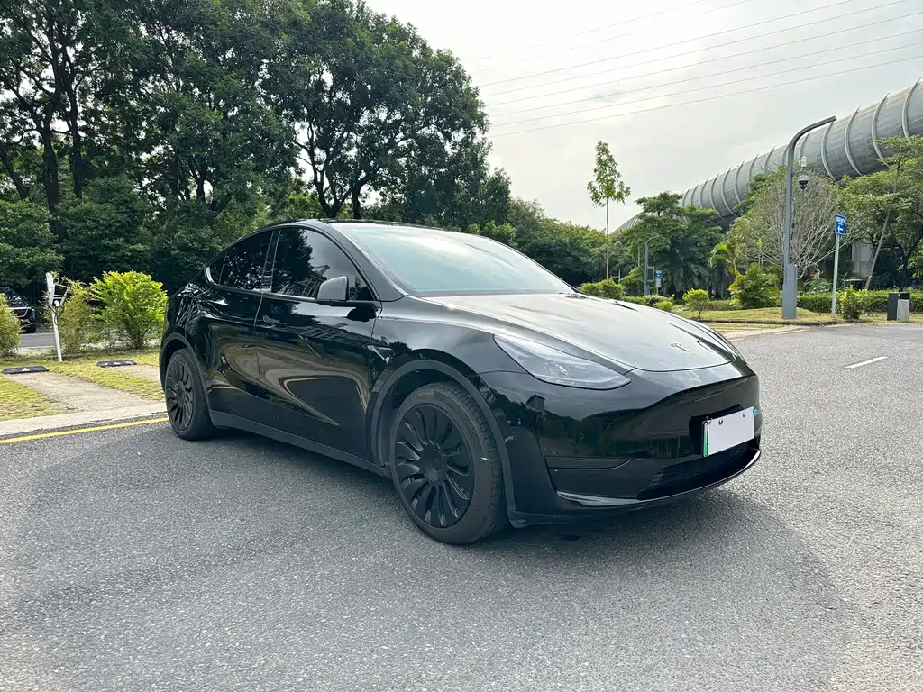Tesla Model Y — фото 8