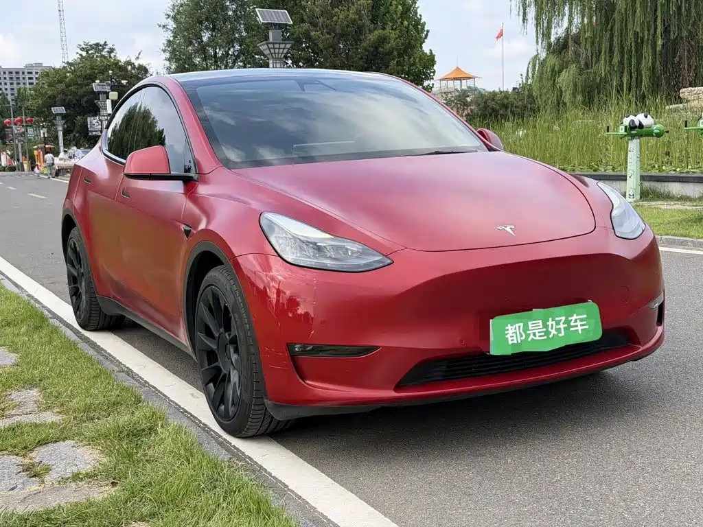 Tesla Model Y — фото 3