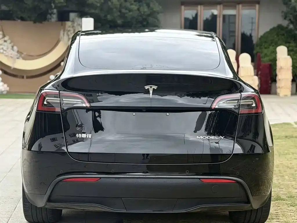 Tesla Model Y — фото 8