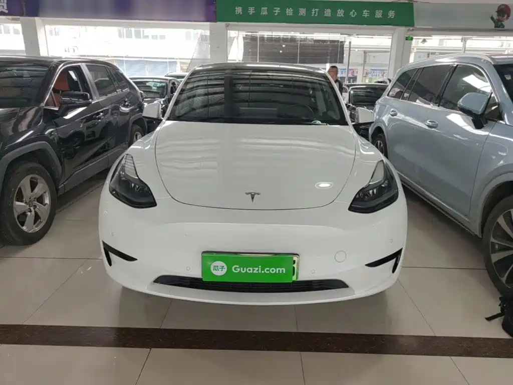 Tesla Model Y — фото 3
