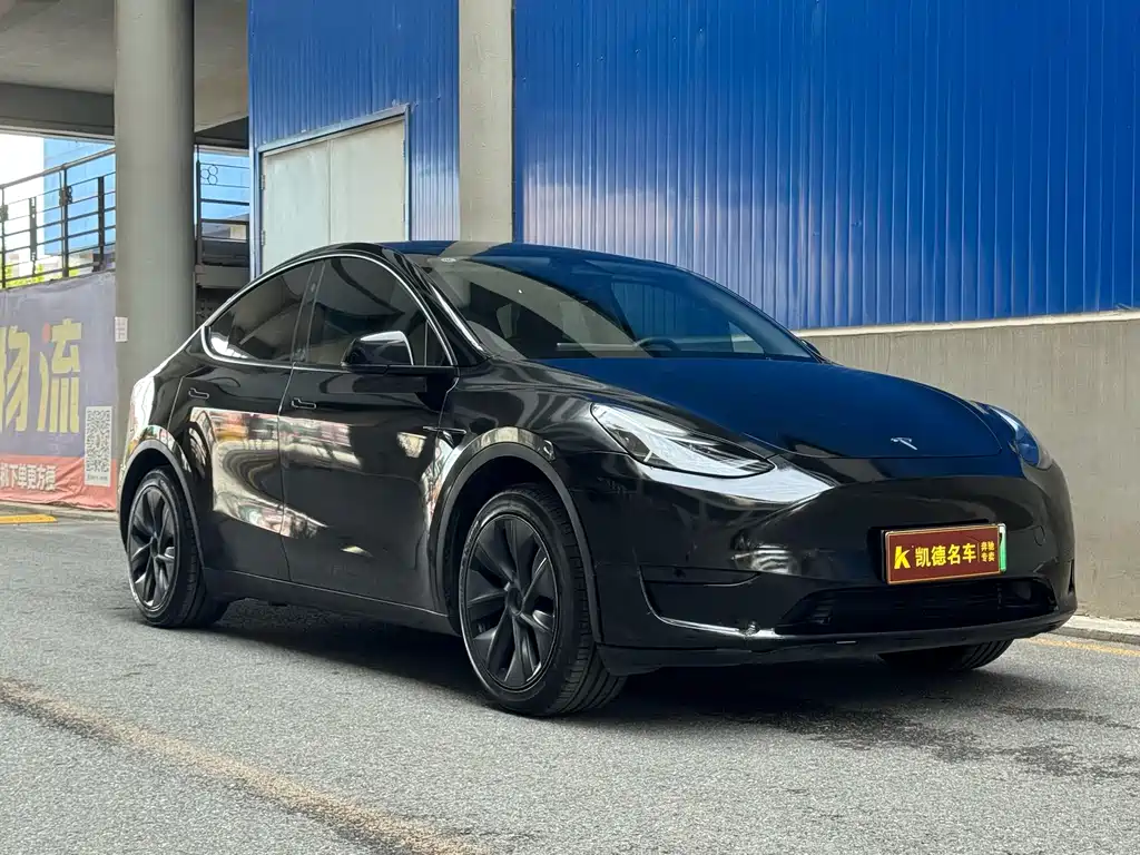 Tesla Model Y — фото 3