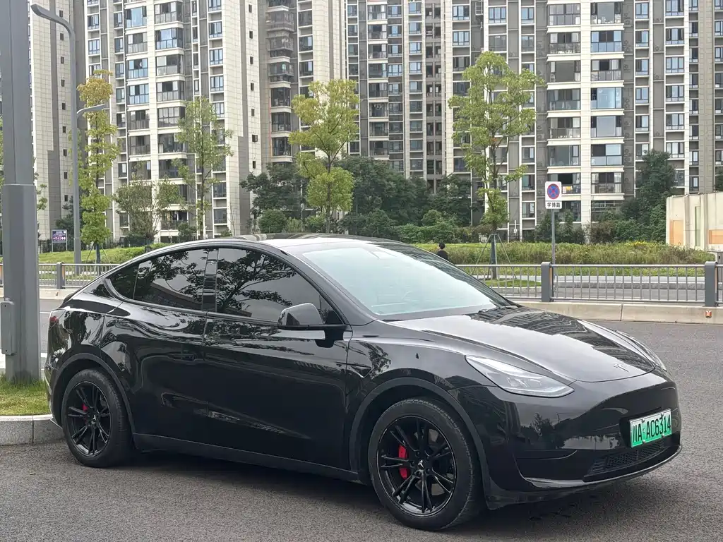 Tesla Model Y — фото 3