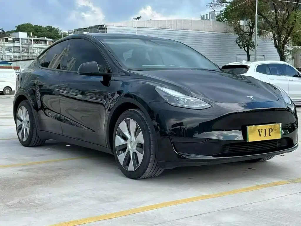 Tesla Model Y — фото 3