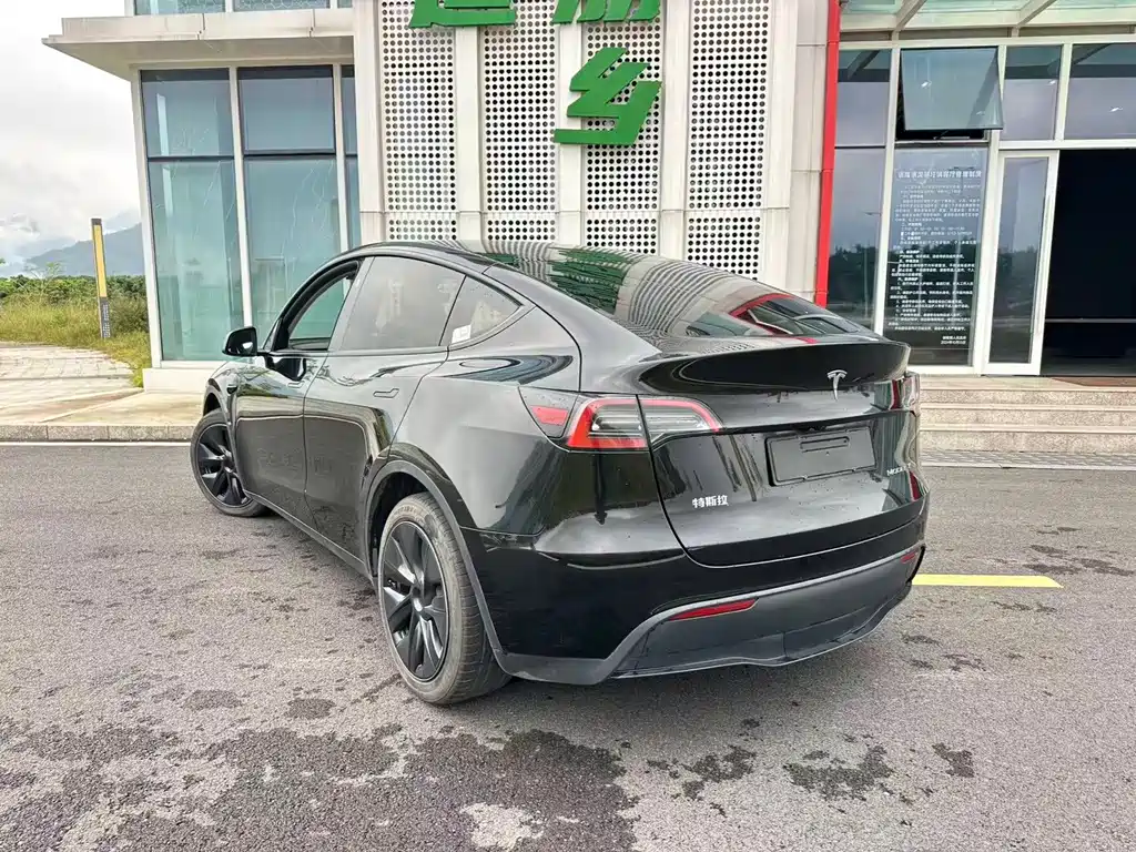 Tesla Model Y — фото 3