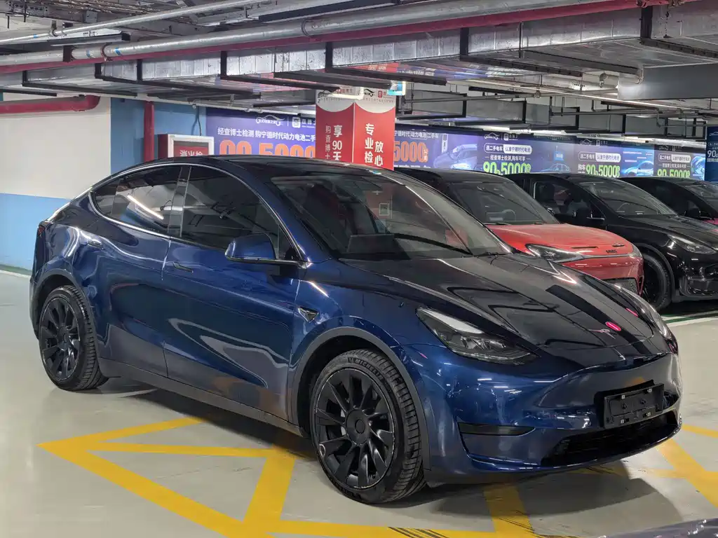Tesla Model Y — фото 3