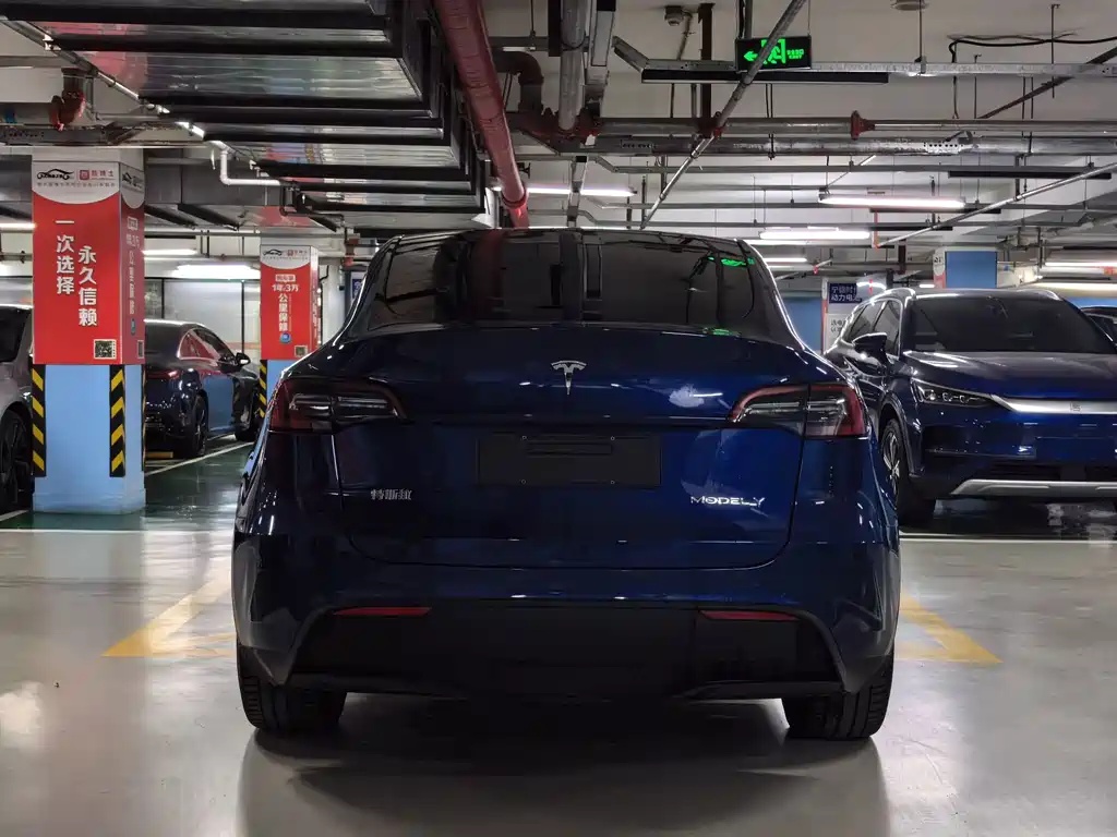 Tesla Model Y — фото 5