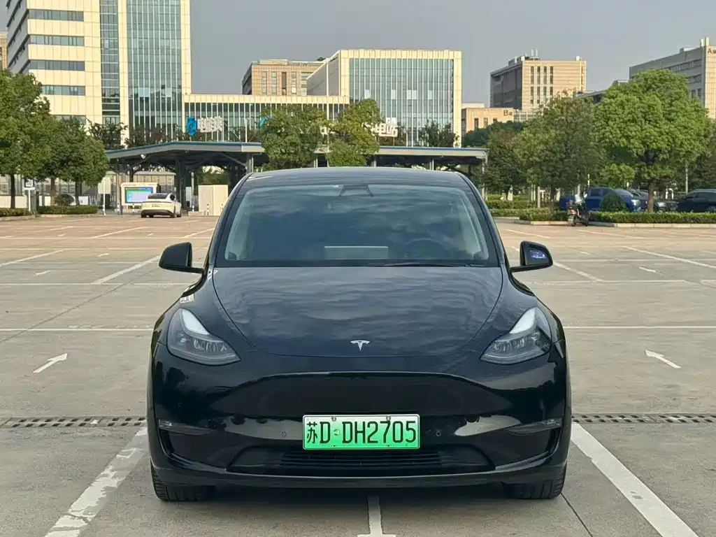 Tesla Model Y — фото 2